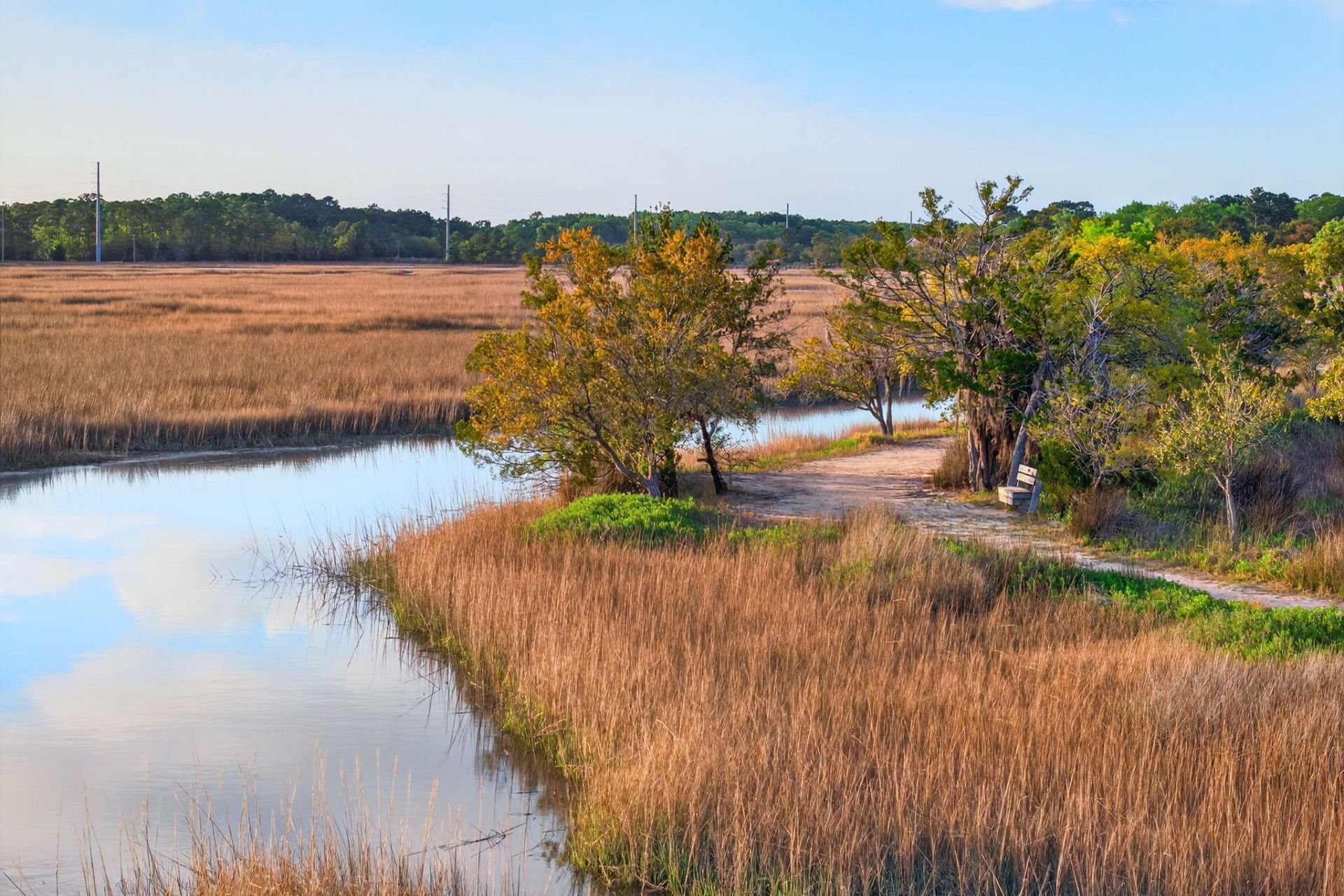 2436 Pristine View Road Photo 63