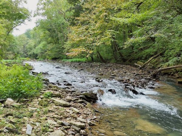 1045 Jones Mill Rd , Smithville, TN 37166