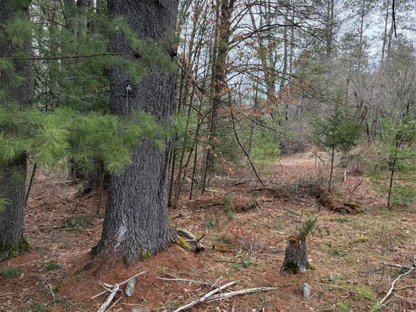 378 Gregory Road, Monticello, NY 12701