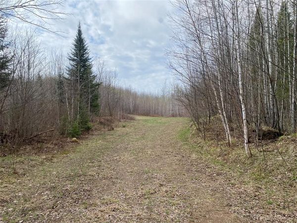 Near Wilson Lake Road, Phillips, WI 54555