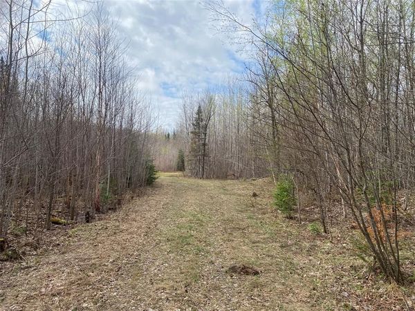 Near Wilson Lake Road, Phillips, WI 54555