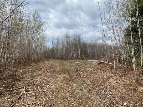 Near Wilson Lake Road, Phillips, WI 54555