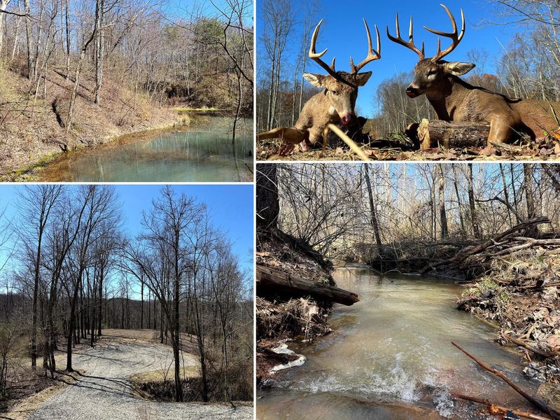 0 Dutch Ridge Road , Unit (Woods Tur, New Lexington, OH 43764 Photo 1