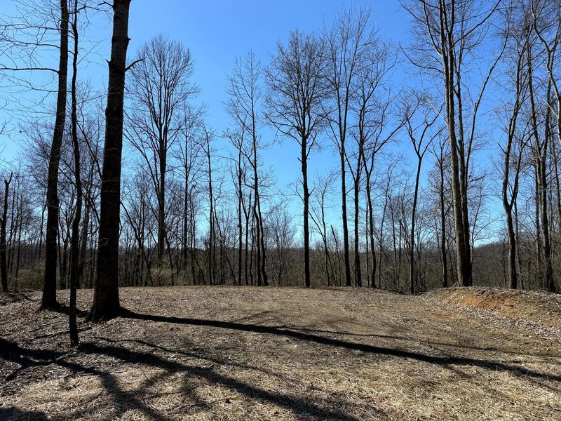 0 Dutch Ridge Road , Unit (Woods Tur, New Lexington, OH 43764 Photo 11