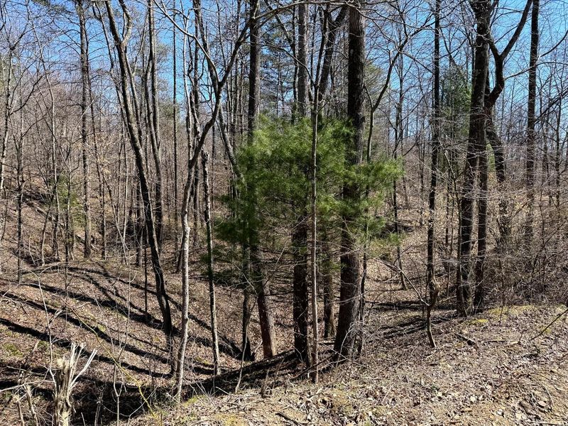 0 Dutch Ridge Road , Unit (Woods Tur, New Lexington, OH 43764 Photo 14