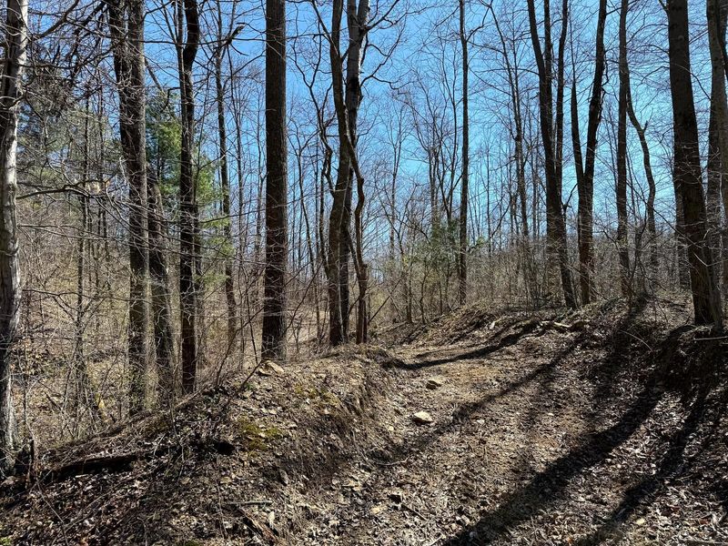 0 Dutch Ridge Road , Unit (Woods Tur, New Lexington, OH 43764 Photo 15