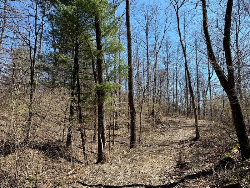 0 Dutch Ridge Road , Unit (Woods Tur, New Lexington, OH 43764 Photo 16