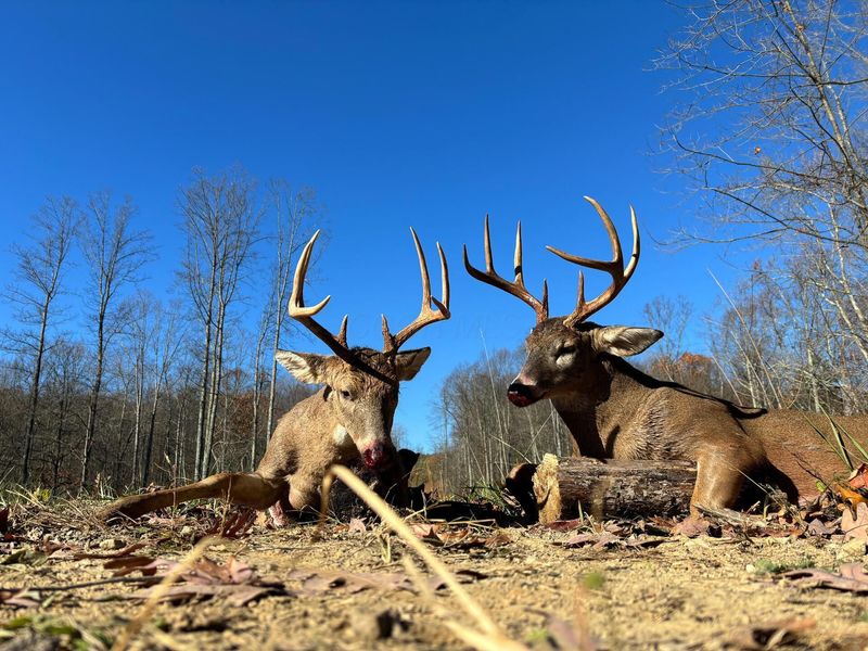 0 Dutch Ridge Road , Unit (Woods Tur, New Lexington, OH 43764 Photo 18