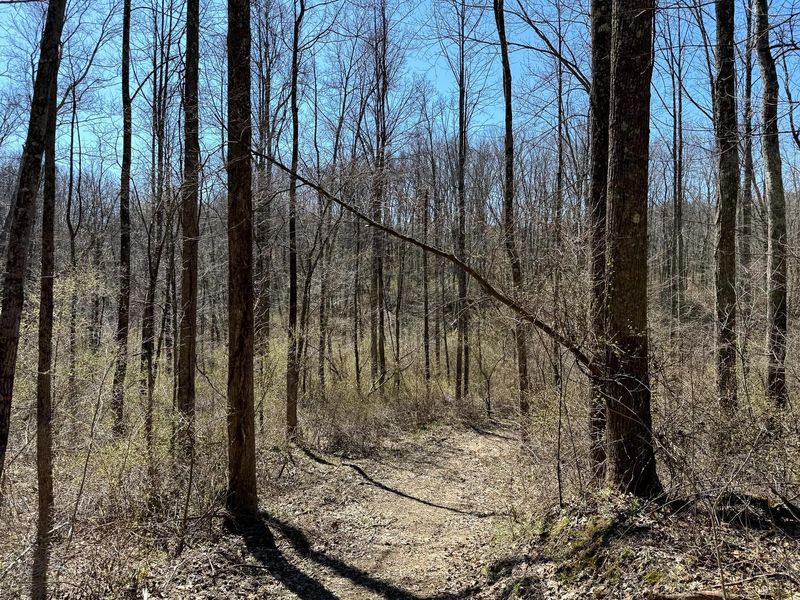 0 Dutch Ridge Road , Unit (Woods Tur, New Lexington, OH 43764 Photo 19