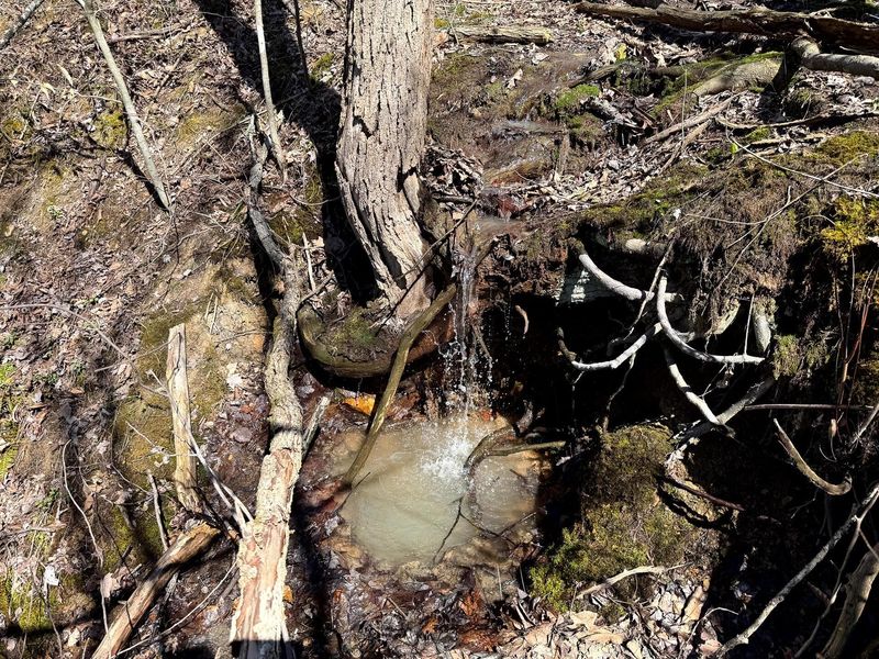 0 Dutch Ridge Road , Unit (Woods Tur, New Lexington, OH 43764 Photo 20