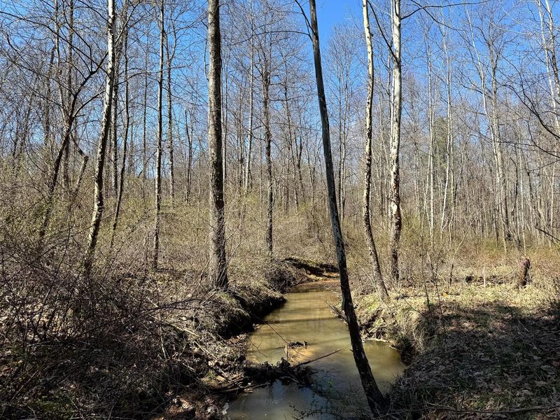 0 Dutch Ridge Road , Unit (Woods Tur, New Lexington, OH 43764 Photo 23