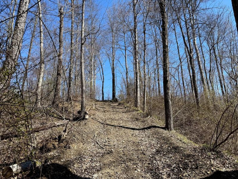 0 Dutch Ridge Road , Unit (Woods Tur, New Lexington, OH 43764 Photo 26