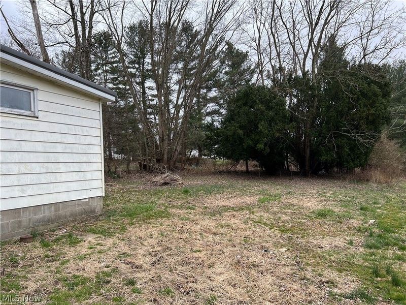 1705 Coal Street, Chesterhill, OH 45728 Photo 7