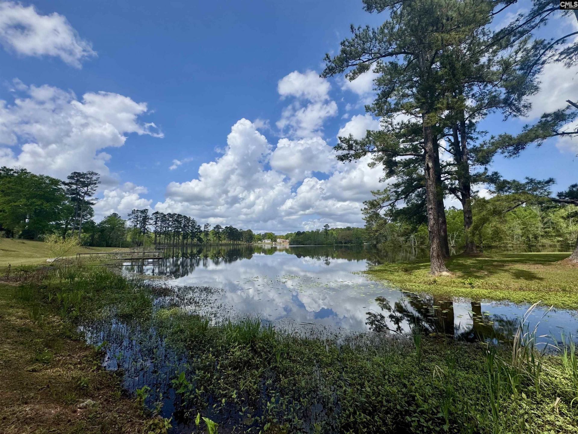 1332 Dogwood Drive  Photo 20