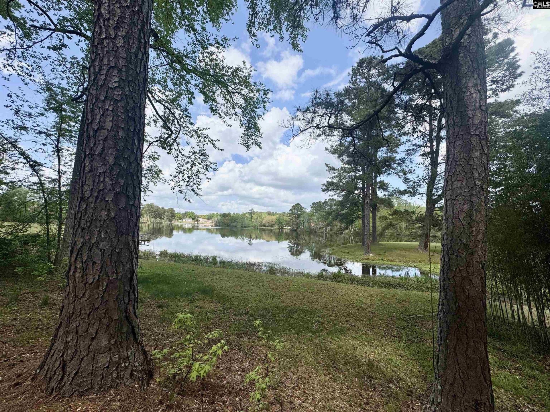 1332 Dogwood Drive  Photo 21