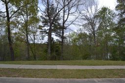 35 Shoreline Drive  photo 4