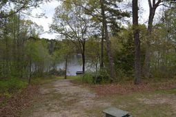 35 Shoreline Drive  photo 4