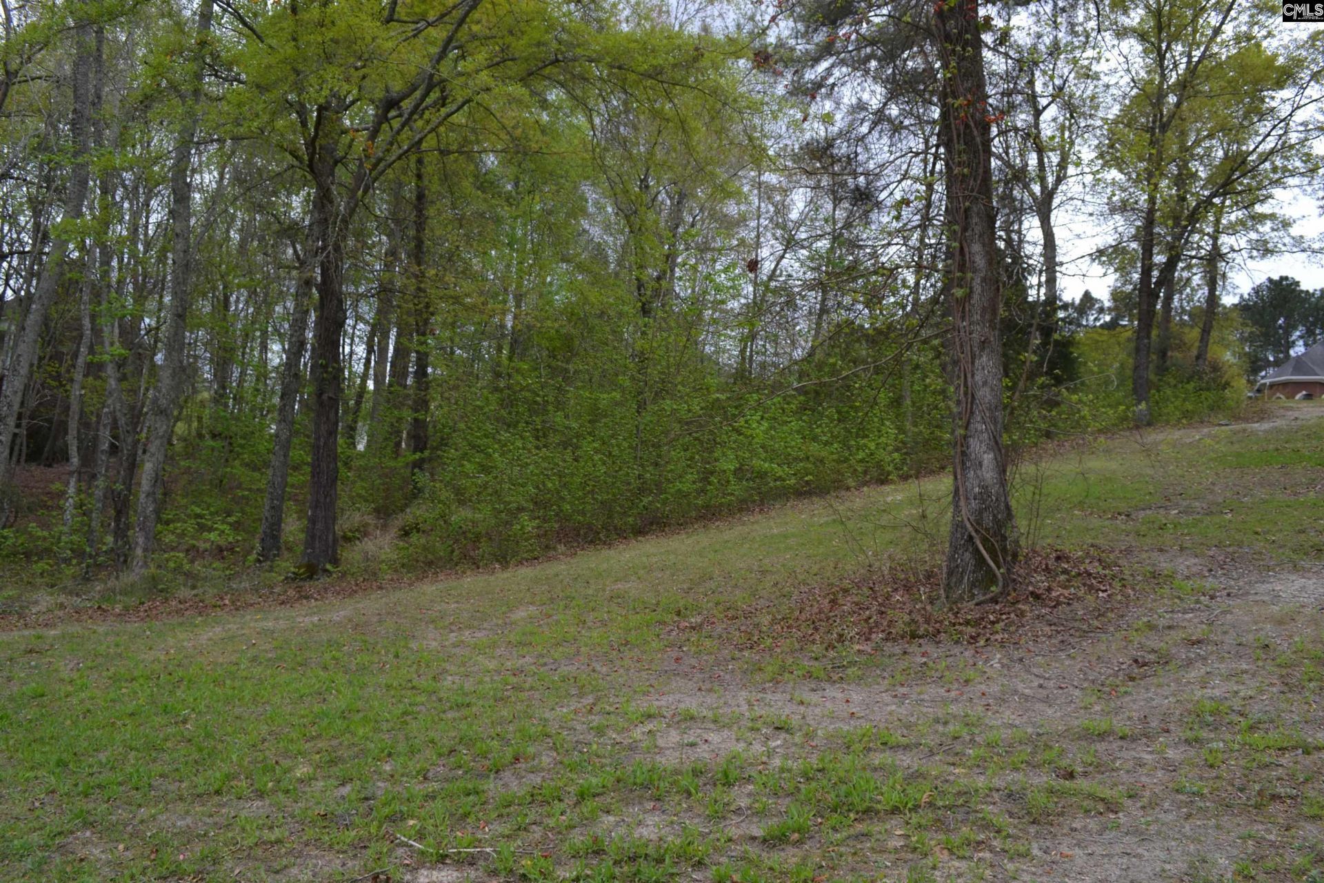 35 Shoreline Drive  Photo 7