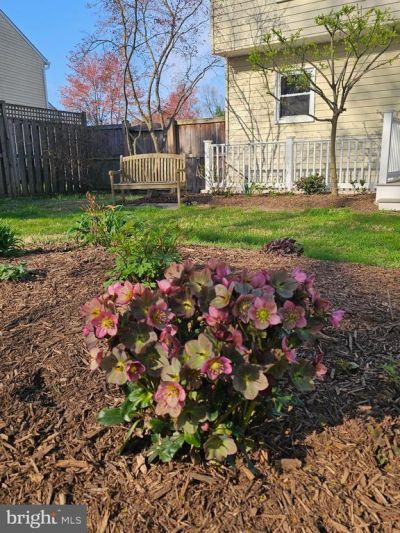 206 Armstrong Lane, Pasadena, MD 21122 Main Photo