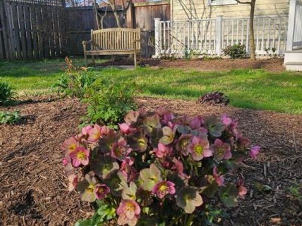 206 ARMSTRONG LANE, PASADENA, MD 21122