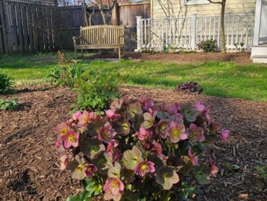 206 Armstrong Lane, Pasadena, MD 21122 Main Photo