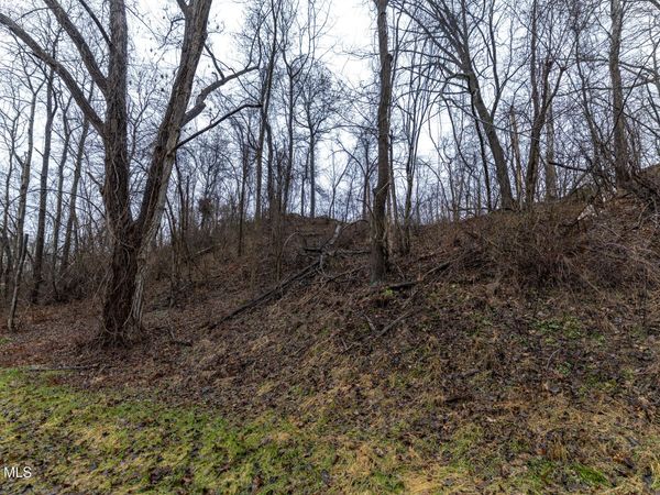 94 Briar Avenue, Albany, NY 12203