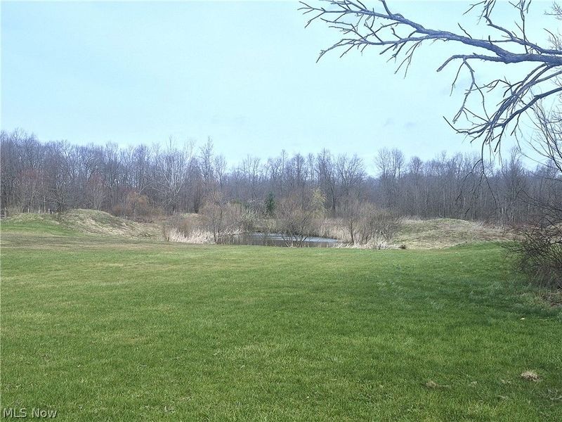 7695 Norton Road, Garrettsville, OH 44231 Photo 5