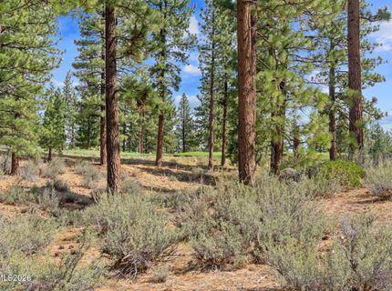 3406 Golf Club Drive, Carson City, NV 89705 Photo