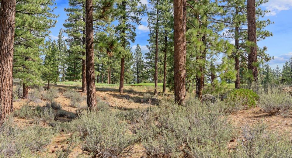 3406 Golf Club Drive, Carson City, NV 89705 Photo