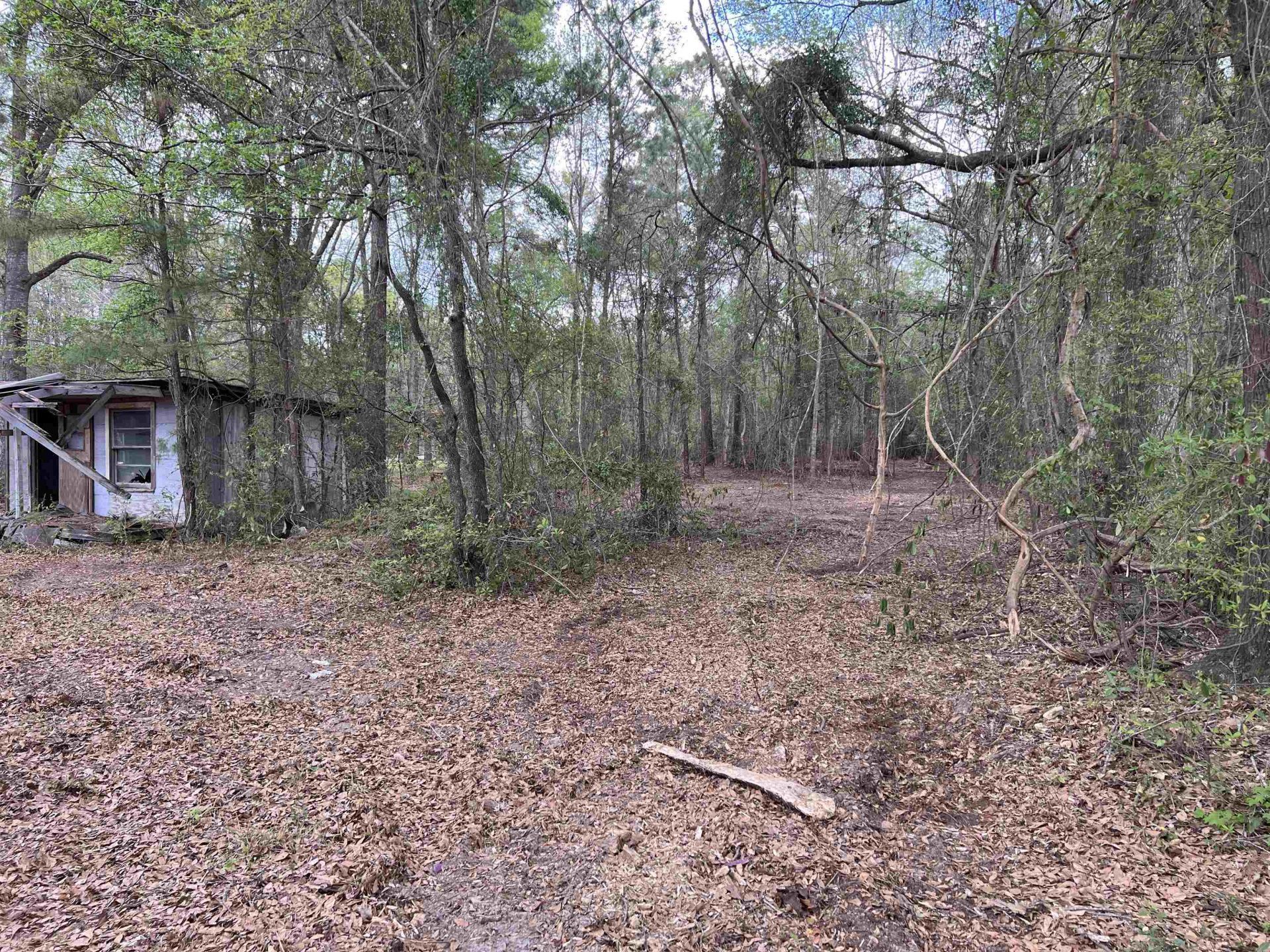 11094 Old Pee Dee Rd. Photo 4