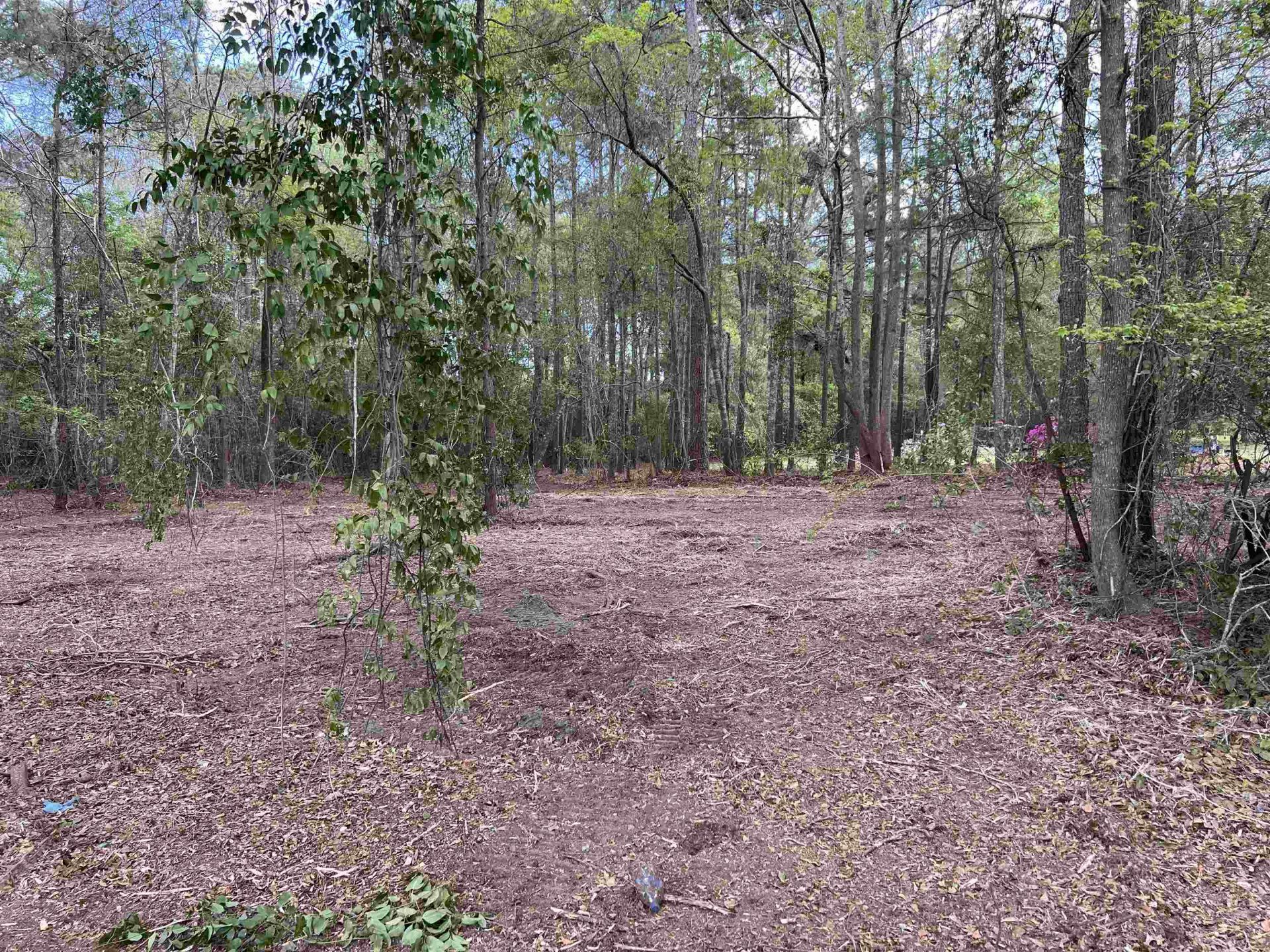 11094 Old Pee Dee Rd. Photo 6