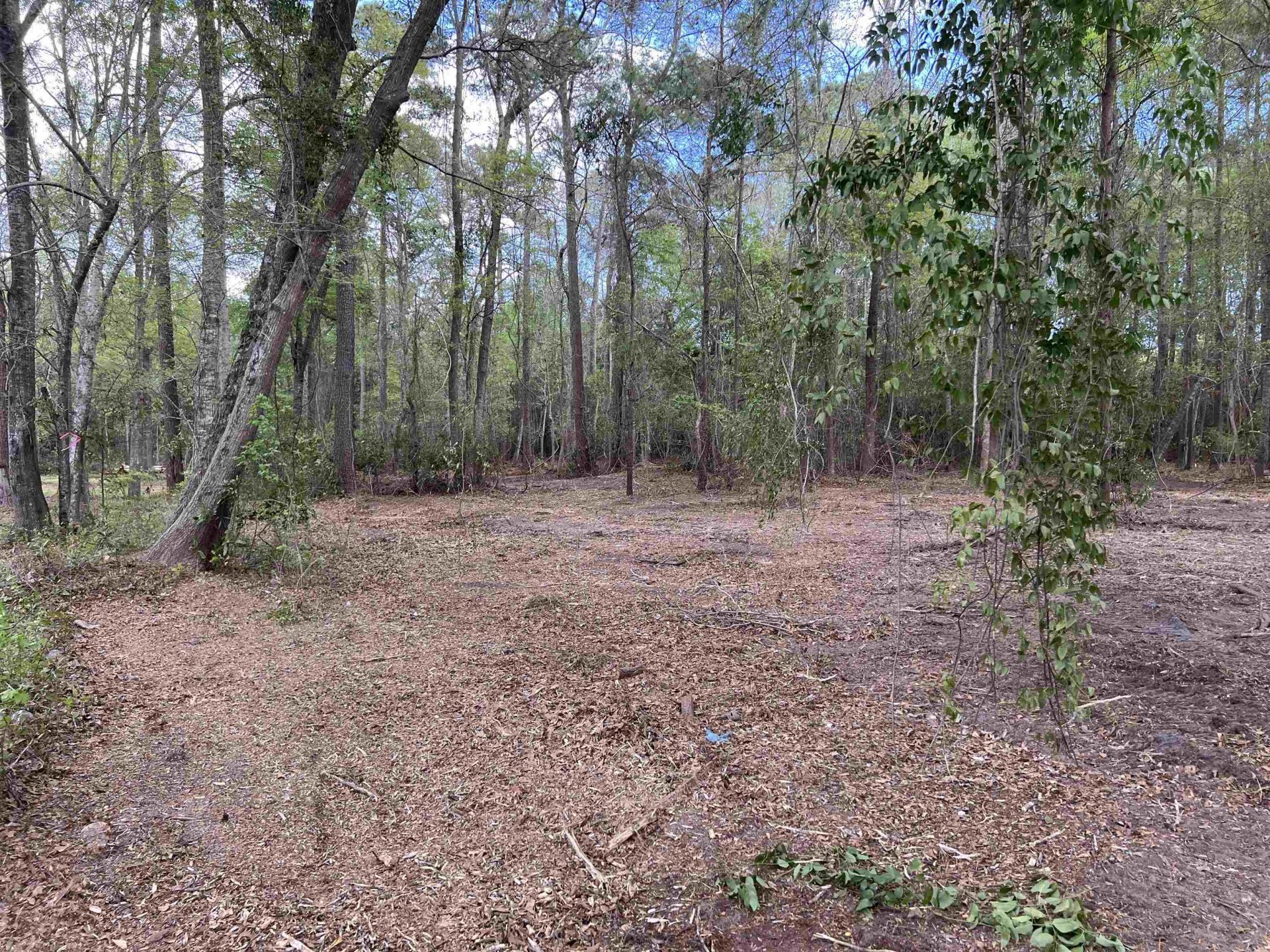 11094 Old Pee Dee Rd. Photo 7