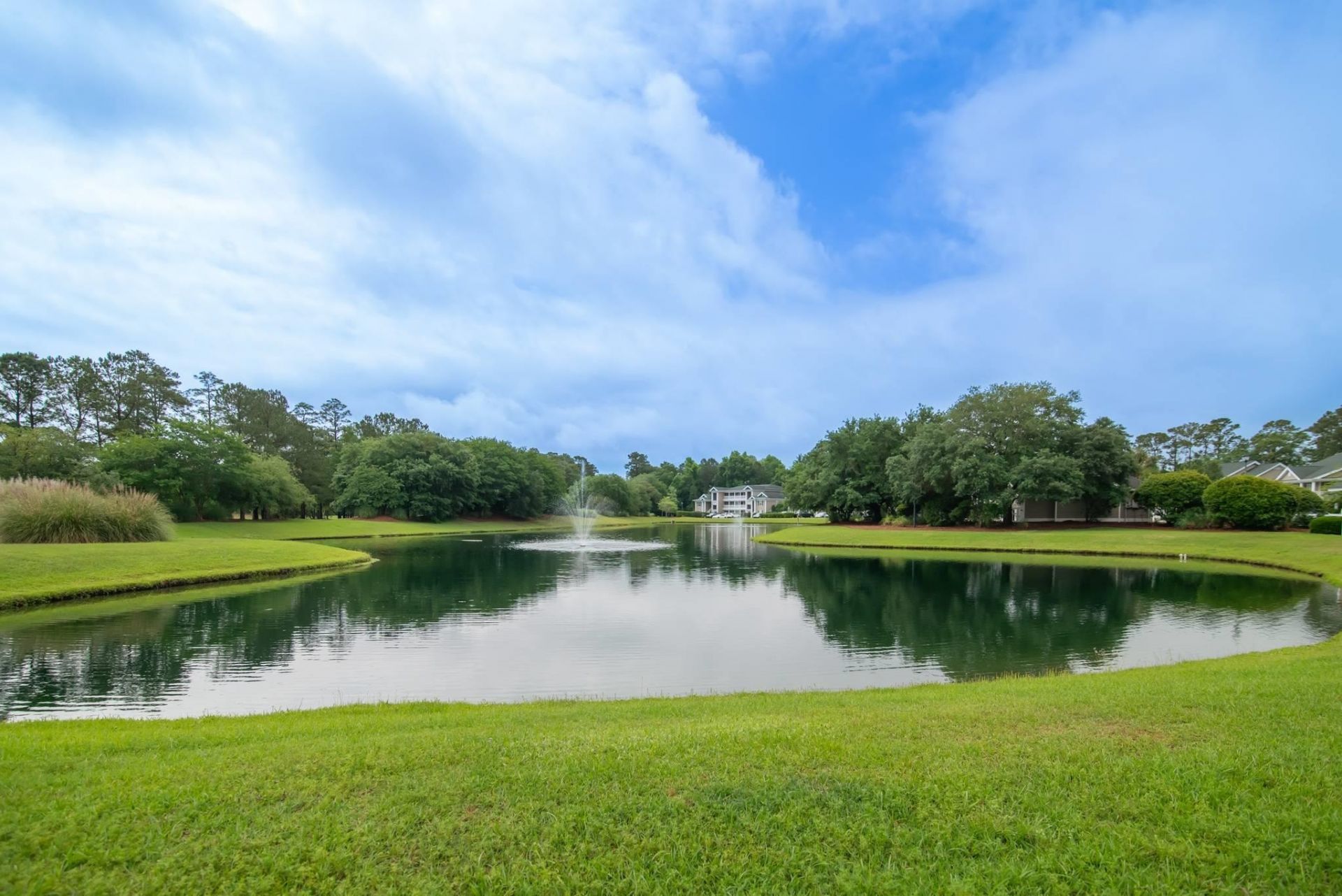 1125 Blue Stem Dr. Photo 33