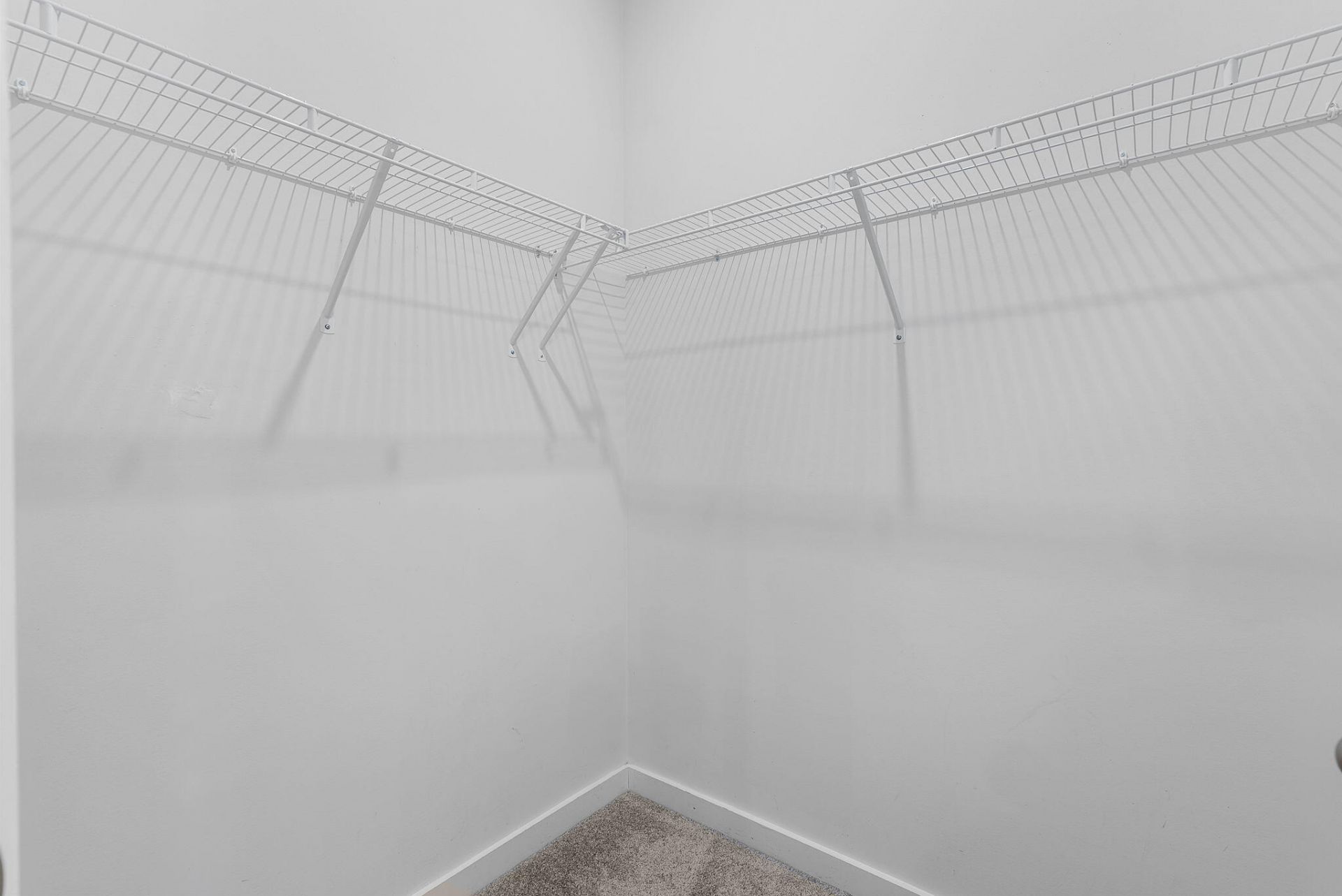 125 Trumpet Vine Drive Photo 33