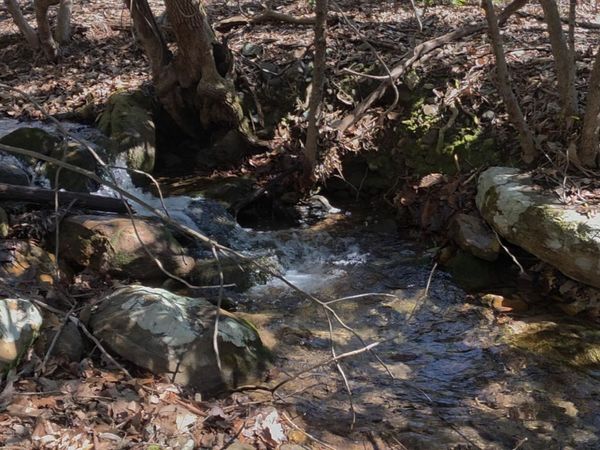 0 Hall RD , Catawba, VA 24070