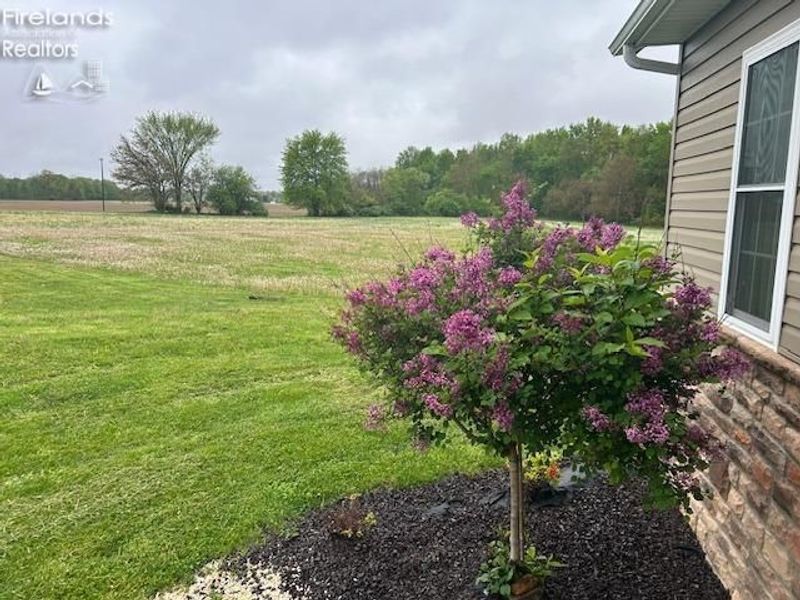 4718 Brushwood Road, Wakeman, OH 44889 Photo 55