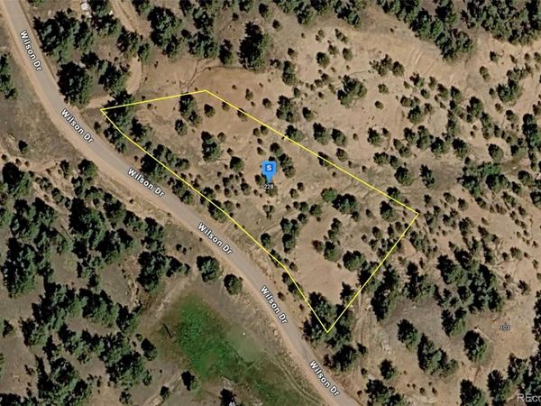 228 Wilson Drive , Florissant, CO 80816