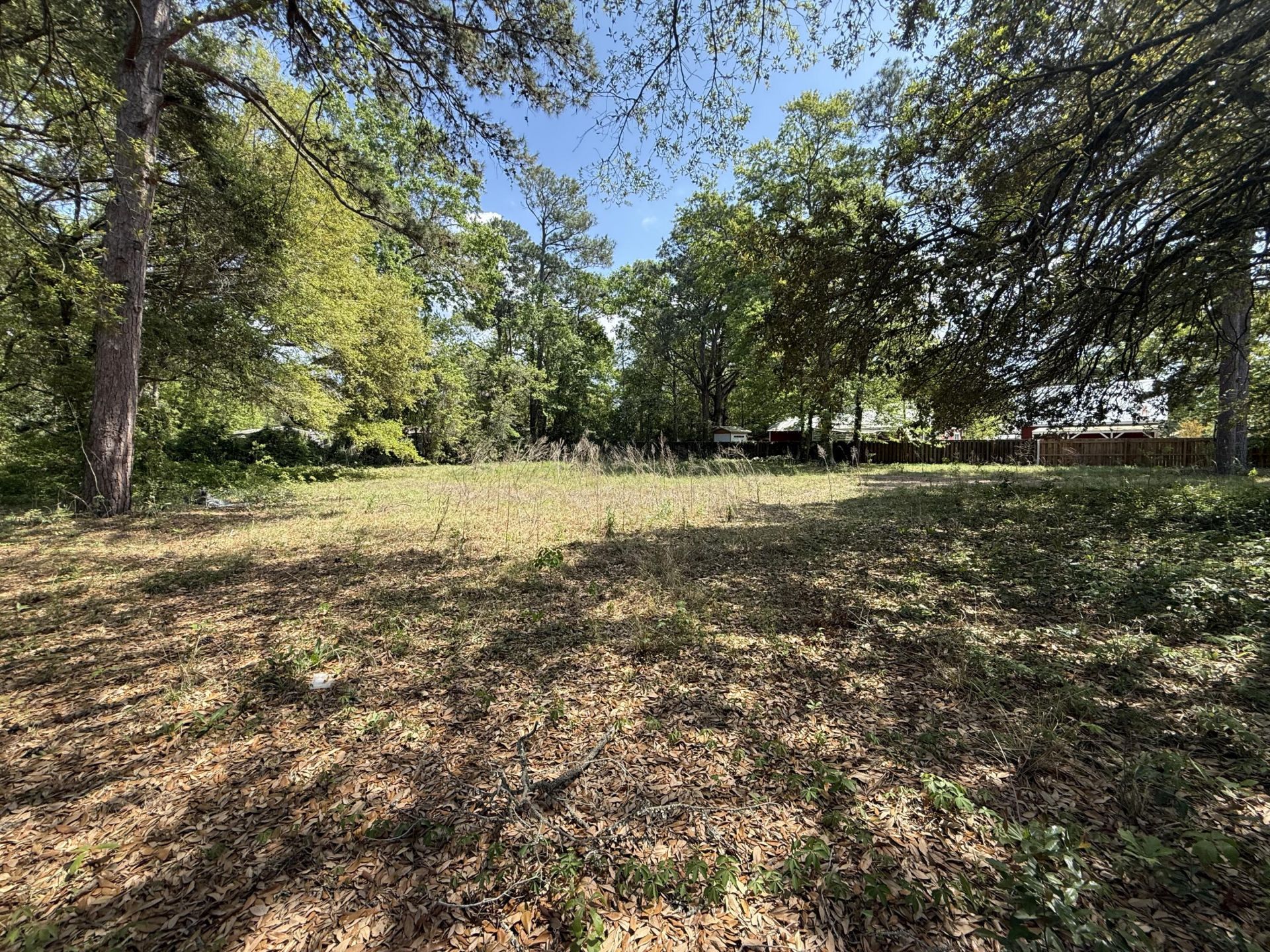 904 Hildebrand Drive Photo 4