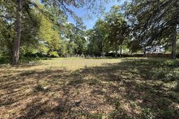 904 Hildebrand Drive photo 4