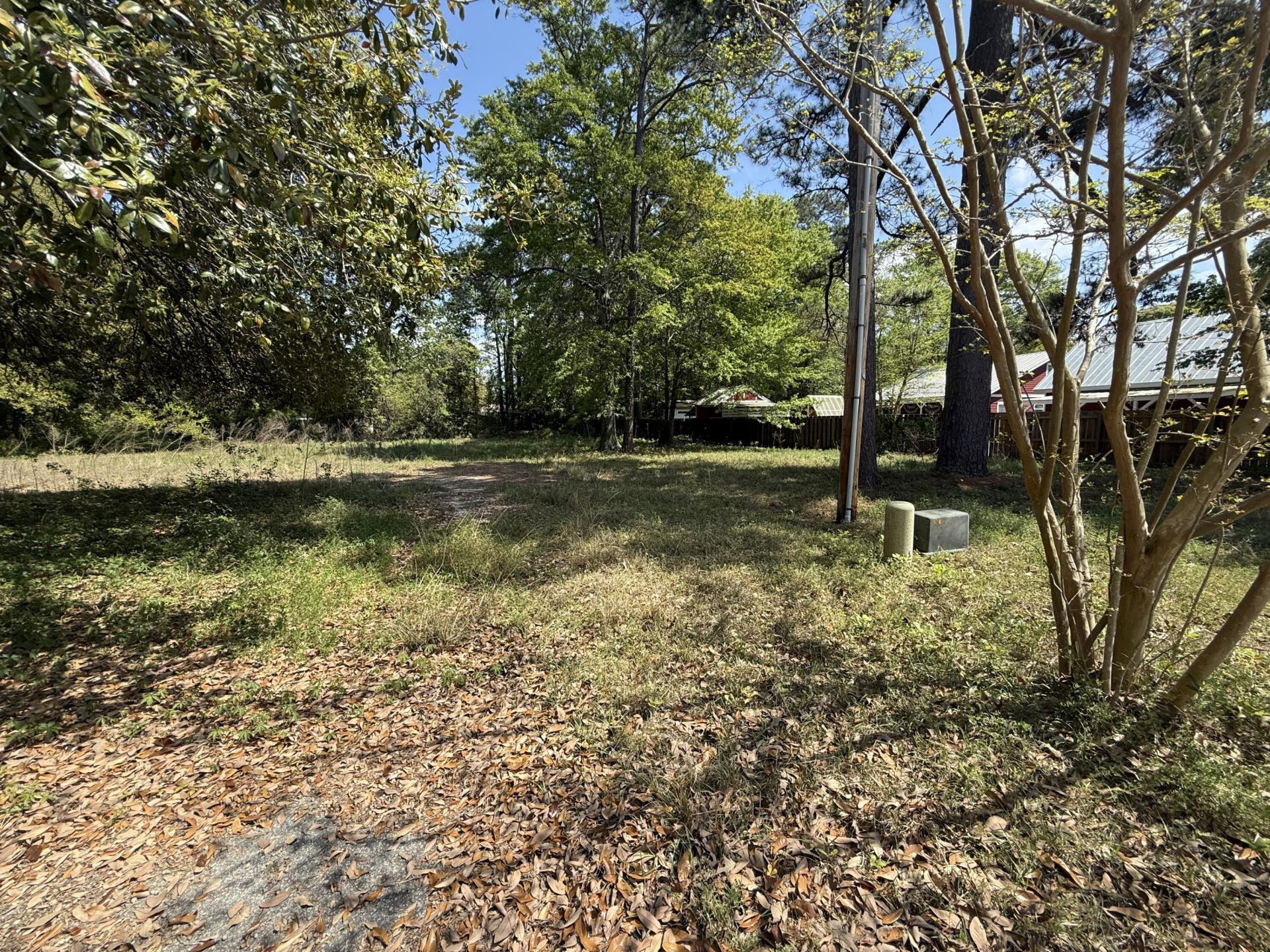 904 Hildebrand Drive Photo 5