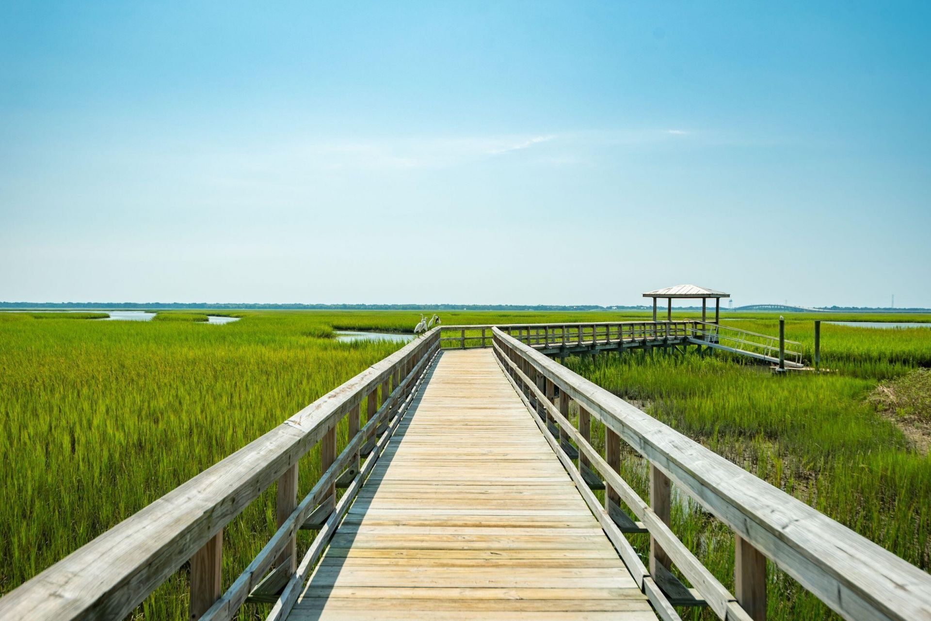 1630 Prince Edward Street Photo 39