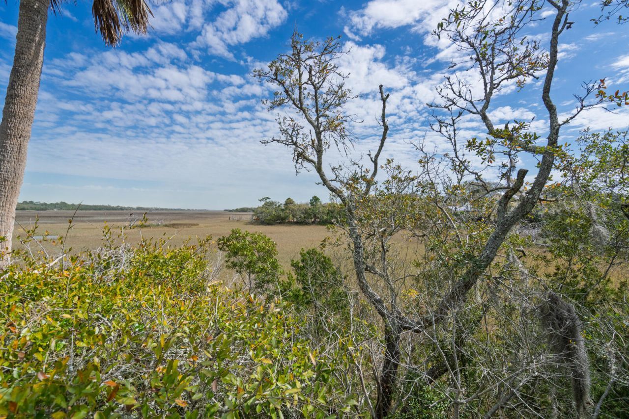 202 Jungle Shores Drive Photo 30