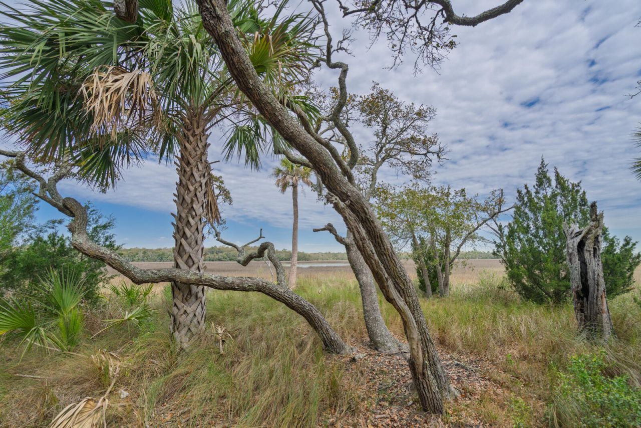 202 Jungle Shores Drive Photo 40