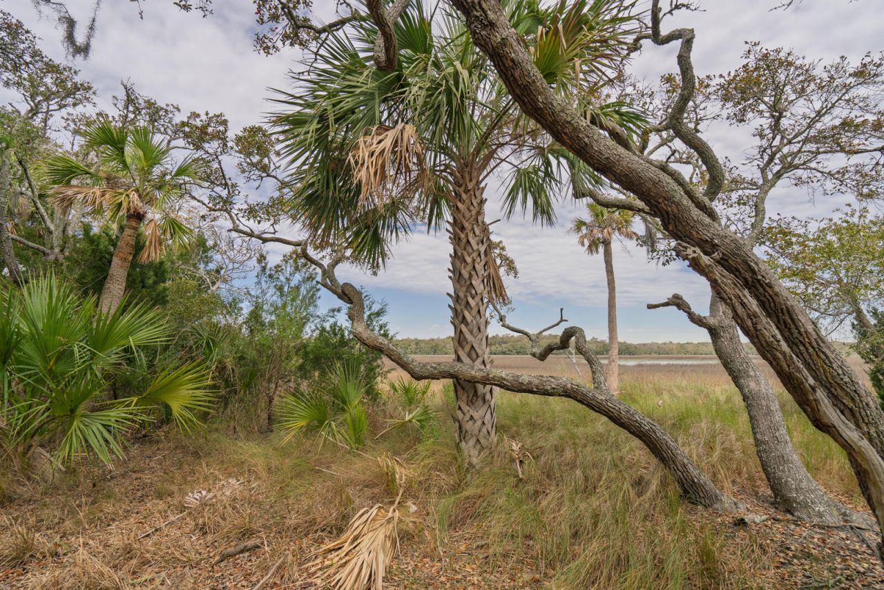 202 Jungle Shores Drive Photo 41