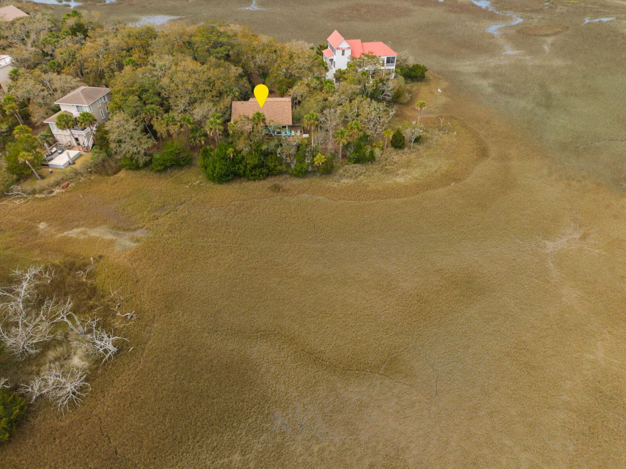 202 Jungle Shores Drive Photo 43