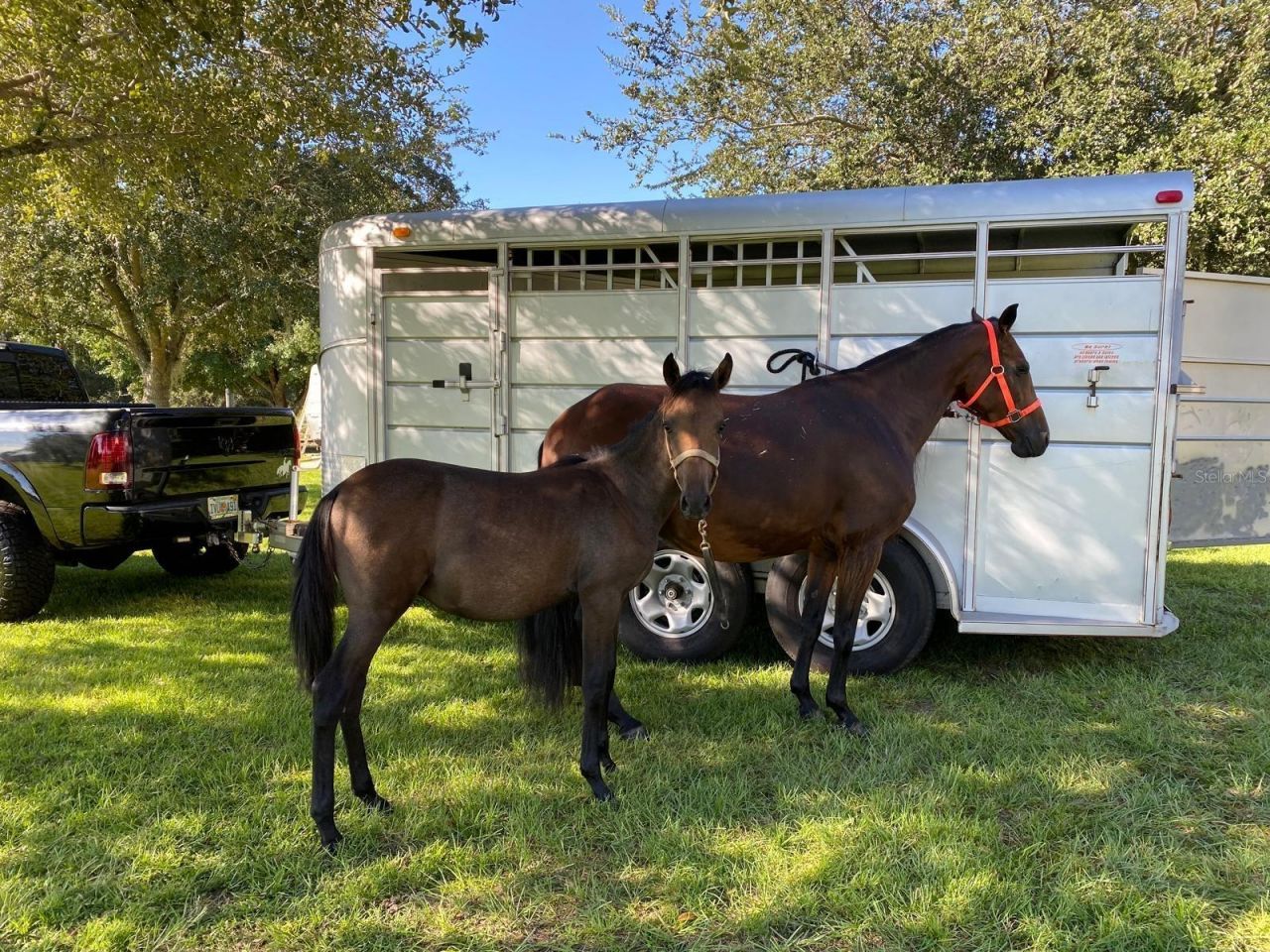 1184 Laura Street , Casselberry, FL 32707 Photo