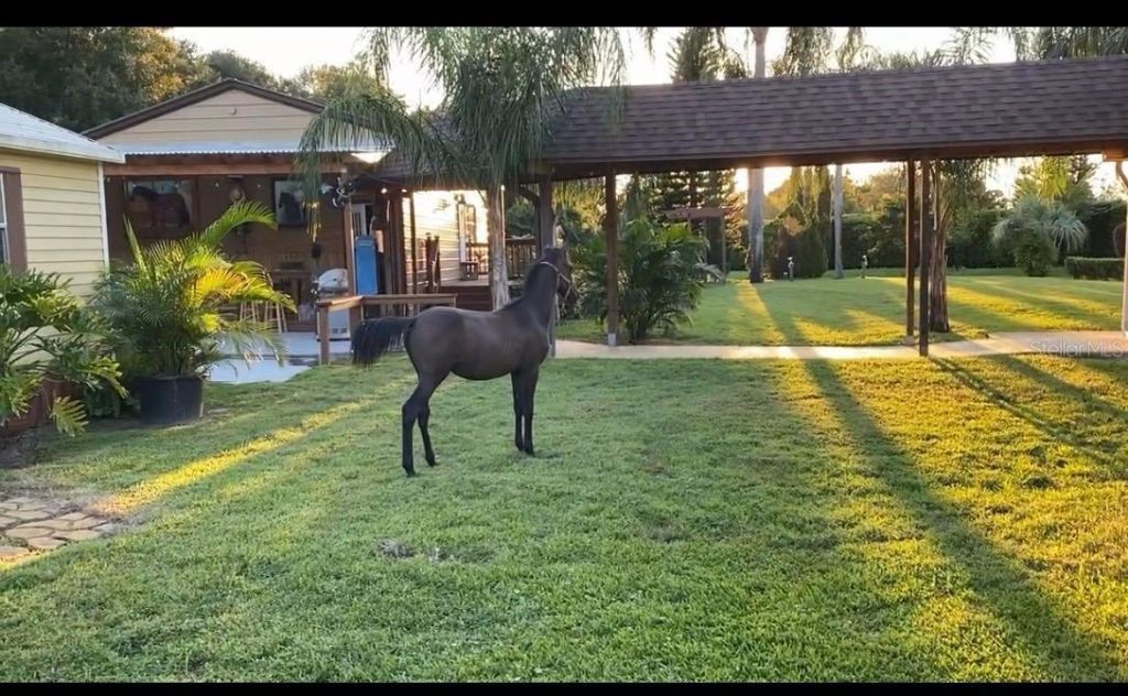 1184 Laura Street , Casselberry, FL 32707 Photo