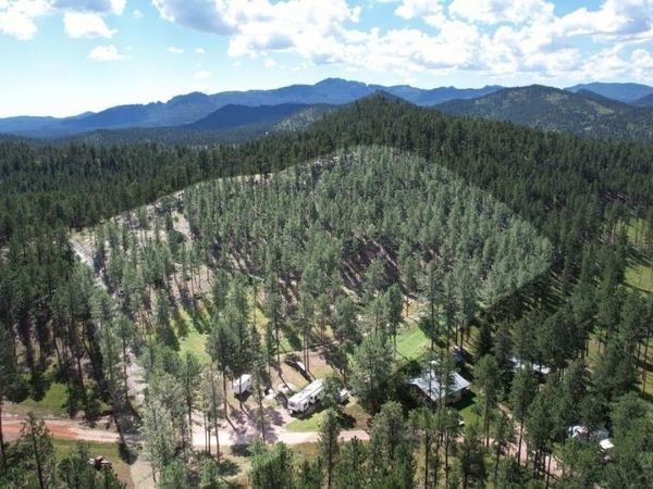 12491 S Tall Pine Road, Hill City, SD 57745