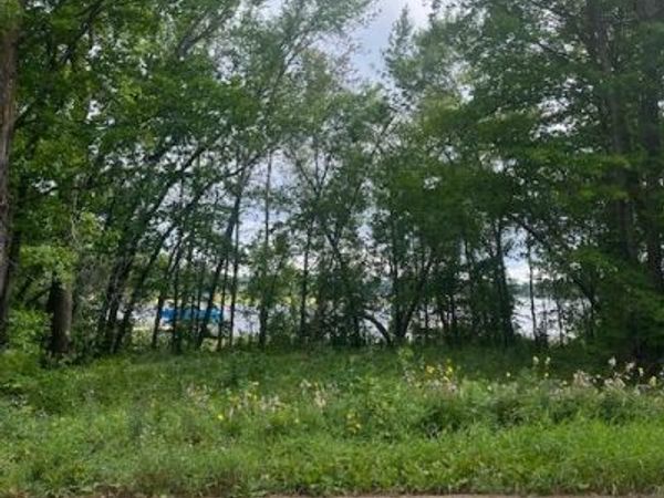 51440 Long Point Place , McGregor, MN 55760