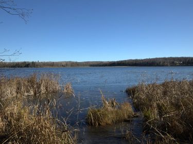 36363 County Highway 34, Ogema, MN 56569